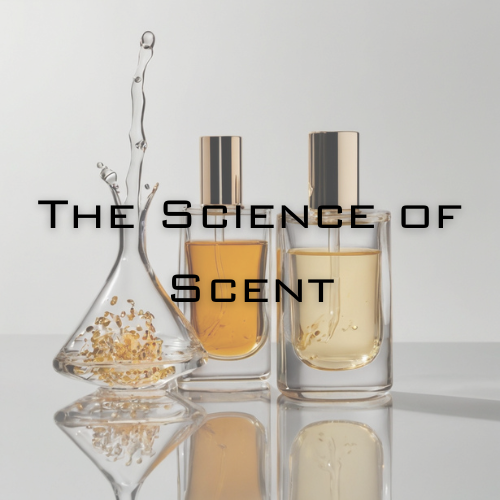 The Science of Scent How Fragrances Affect Your Brain and Body